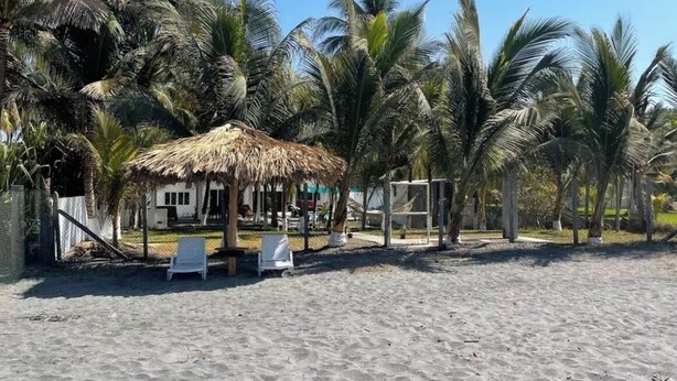 Uma praia com uma cabana de palha, cadeiras de banho brancas e palmeiras.