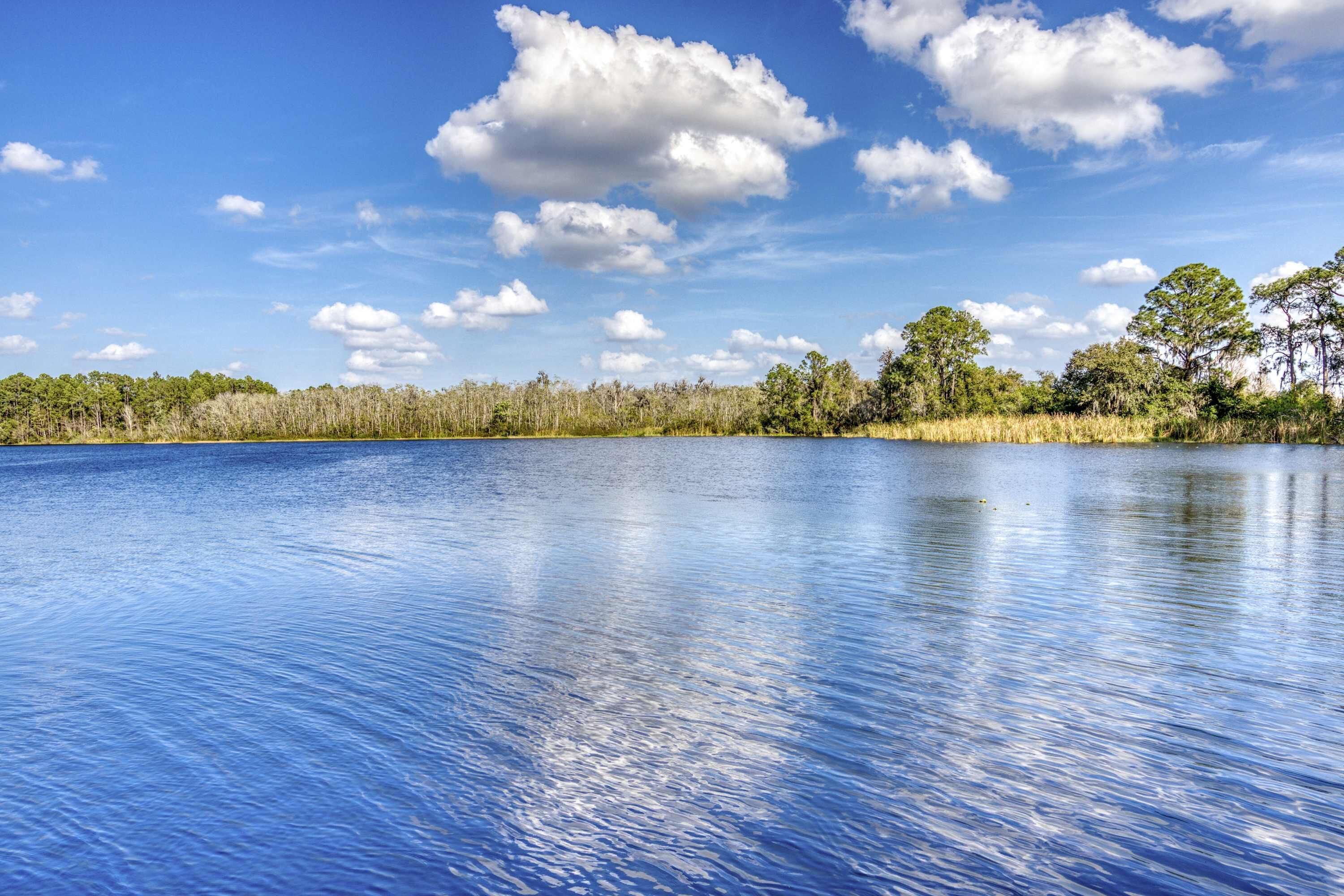 A calm lake with a clear sky and trees in the background.