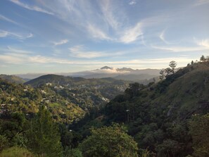 Miscellaneous - Ella T & D Resort (Ella)