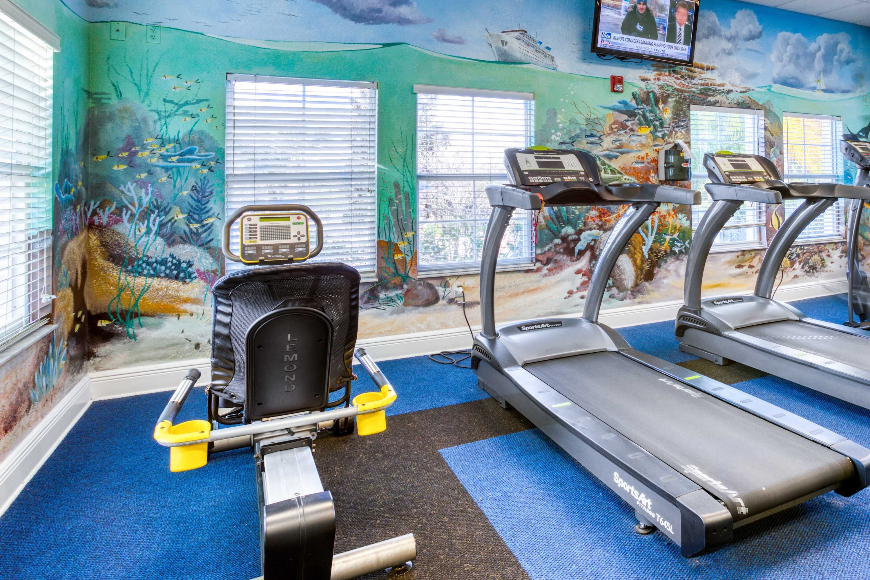 Une salle de sport équipée de tapis de course, d’un vélo d’appartement et d’un rameur.