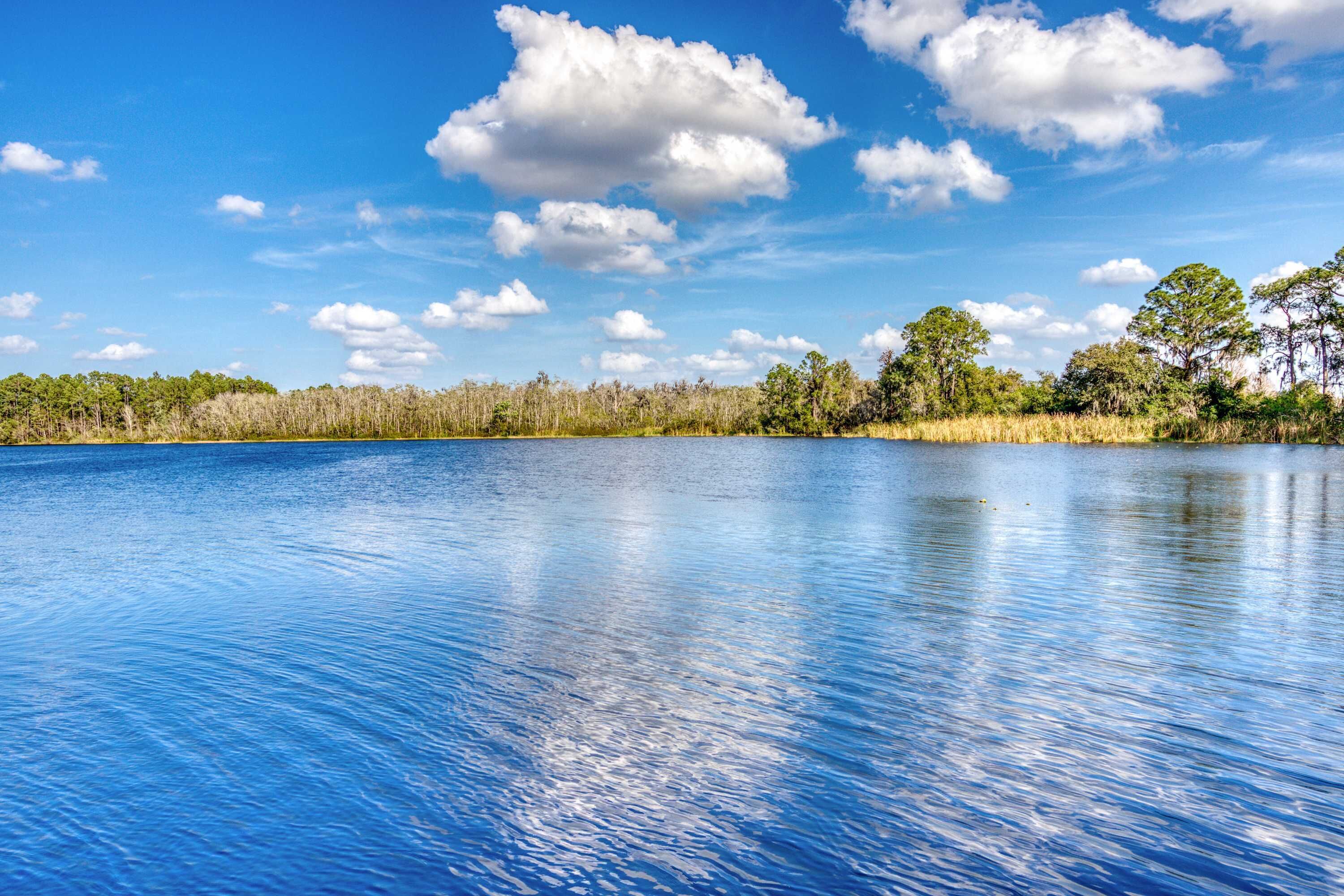 Ein ruhiger See mit klarem Himmel und Bäumen im Hintergrund.