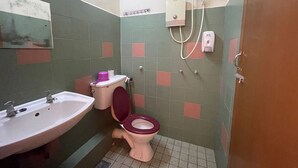 Une petite salle de bain avec un lavabo, des toilettes et une douche.