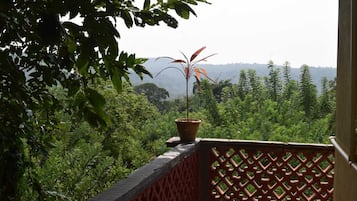 Standard Double Room | Property grounds