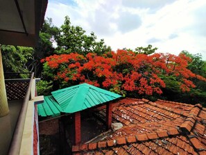 Property grounds - Nature Inn Cottage (Gokarna)