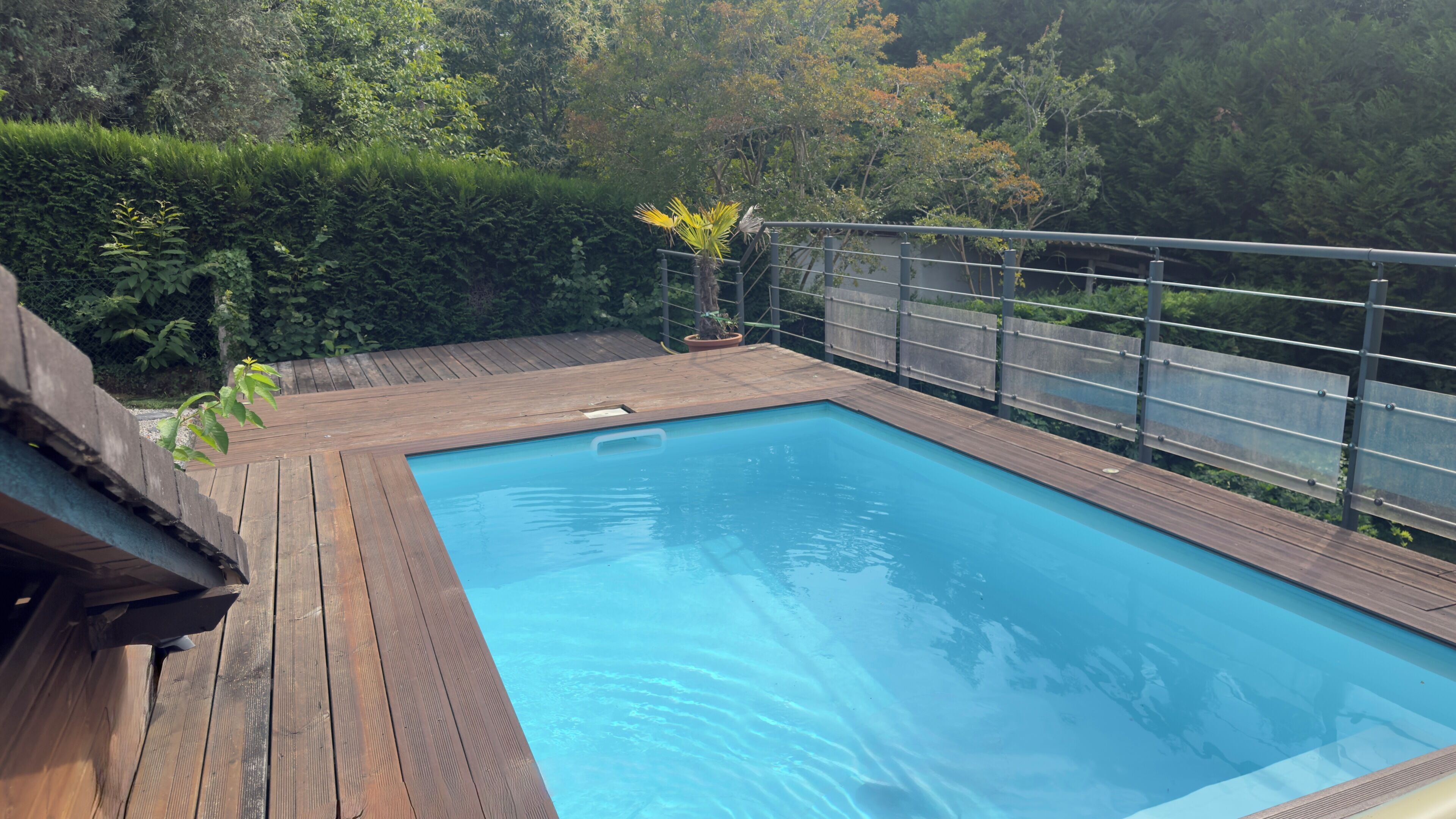 Ein rechteckiger Swimmingpool mit Holzdeck und Metallgeländer, umgeben von dichtem Grün.