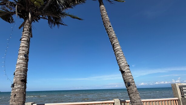 A beach with palm trees and a railing. - Beautiful 2-bedroom apartment with AC, beach front and huge parking lot (Opol)