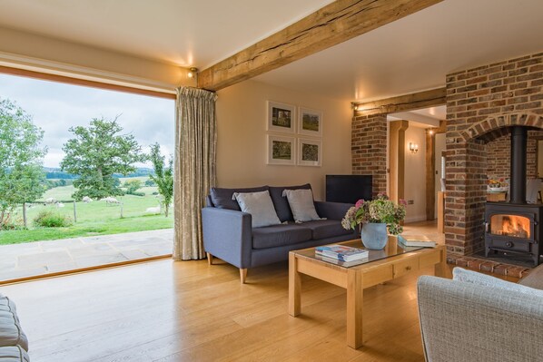 Télévision, cheminée