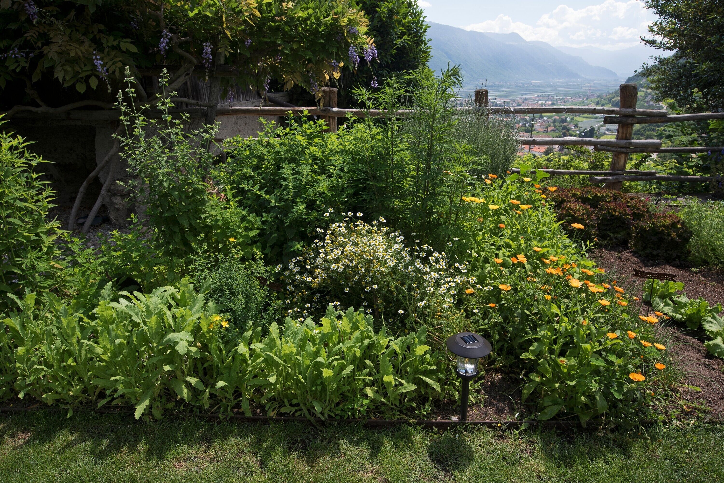 Parco della struttura