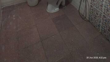 Deluxe Room | Bathroom | Shower, shampoo, toilet paper