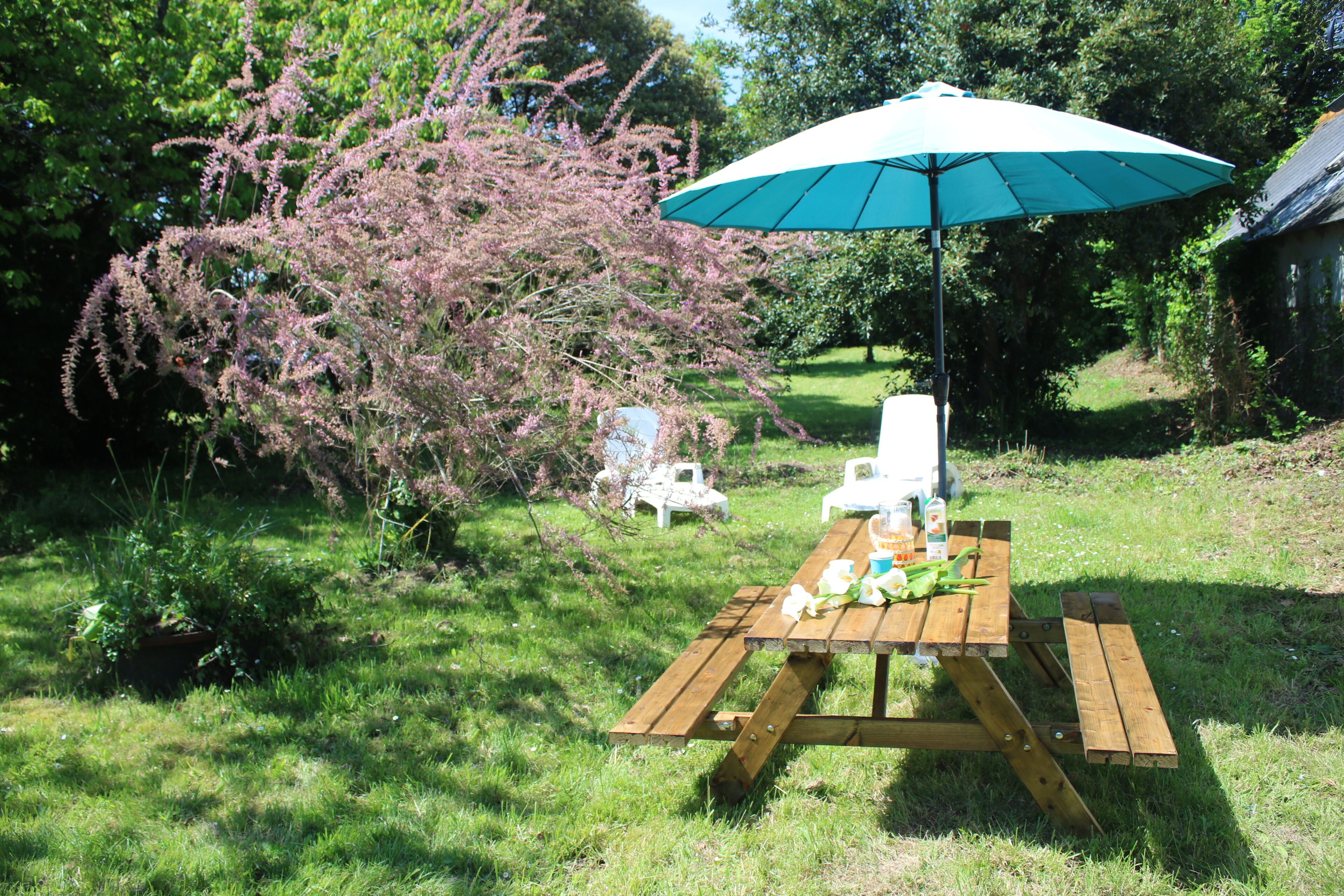Ein Holztisch für ein Picknick mit einem blauen Sonnenschirm, umgeben von Gras und Bäumen.