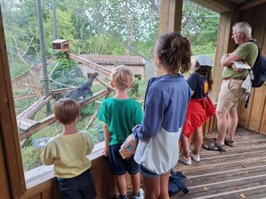 A group of people observing a zoo exhibit through a wooden viewing platform. - Charming Breton house near the beach, 300 meters from the GR34 hiking trail. Large, shady garden. (Pordic)