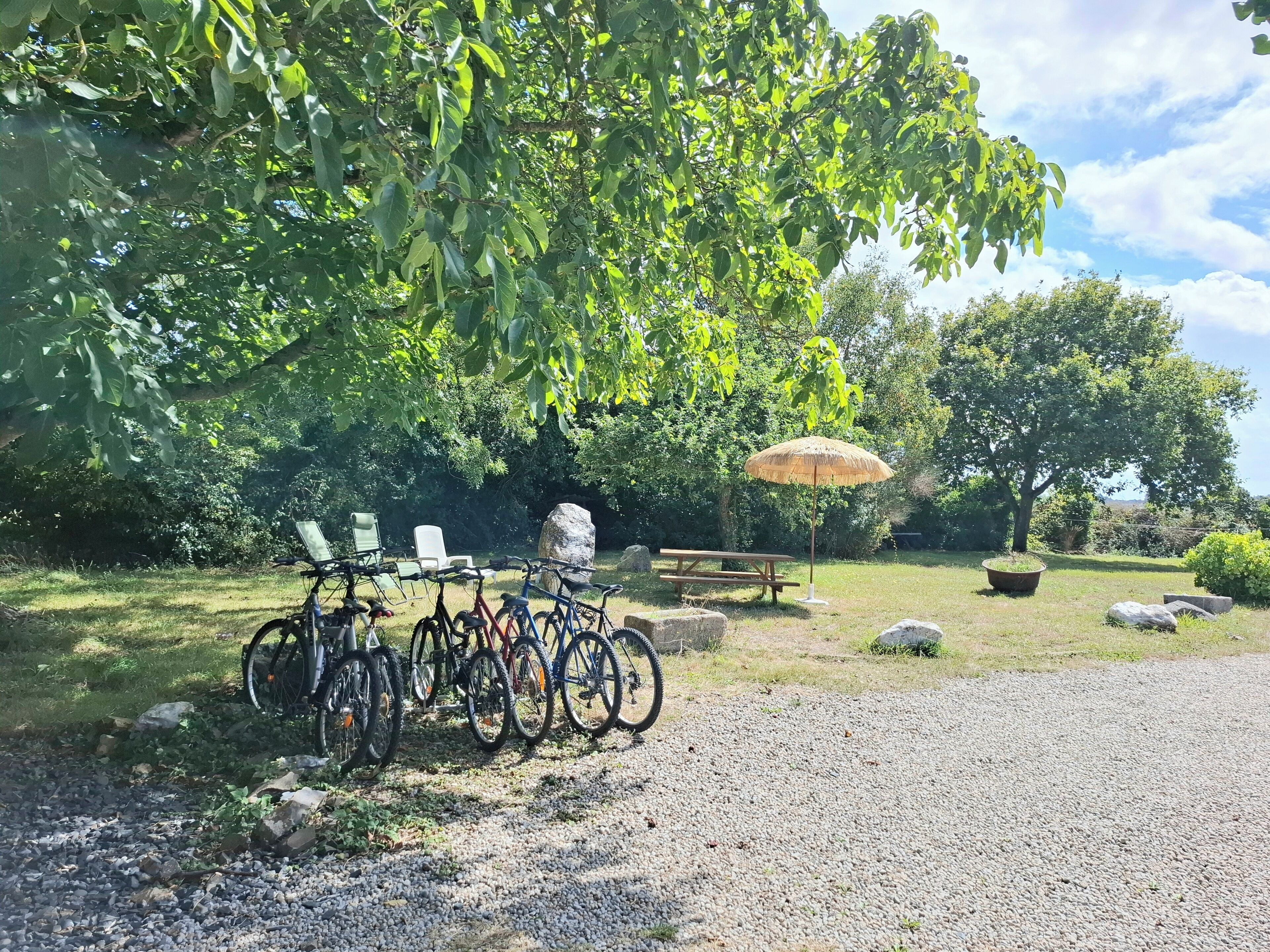 A gravel path with bicycles parked under a tree, a picnic table, and a large umbrella.