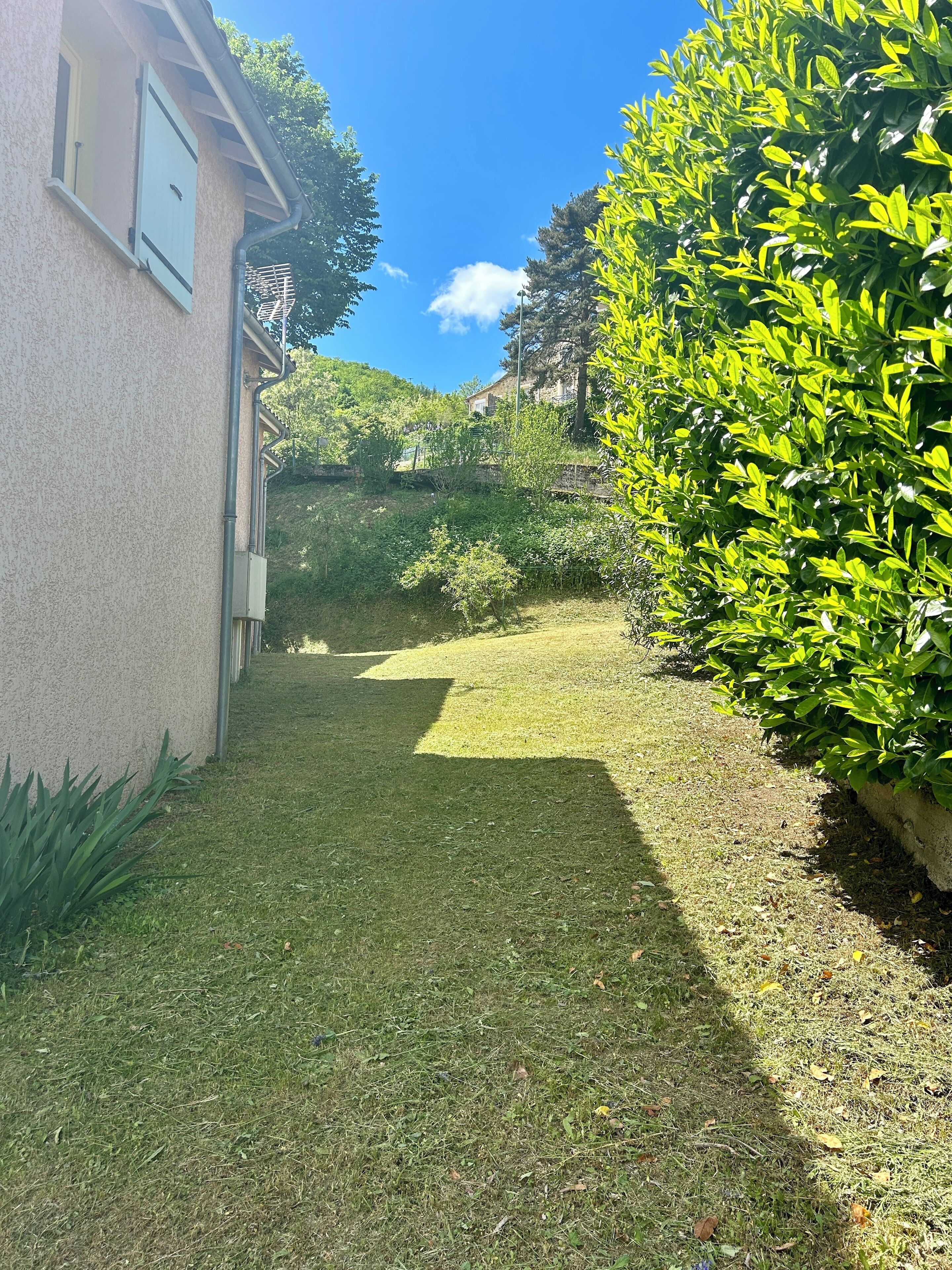 Ein grüner Rasen mit einem Haus links und einem dichten, grünen Busch rechts.