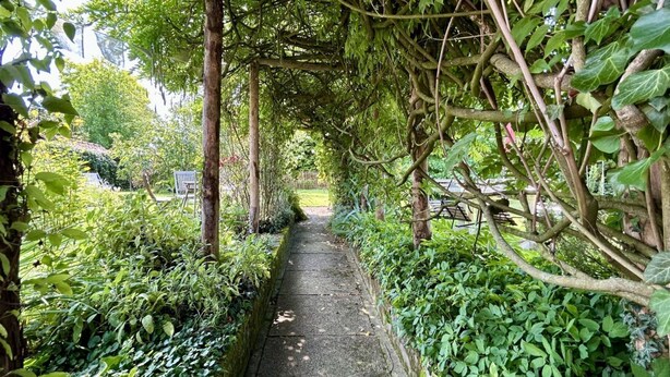 A narrow stone pathway flanked by lush greenery and climbing plants, leading to a building entrance.