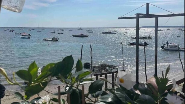 A view of a marina with several boats docked, a clear sky, and some greenery in the foreground. - Bungalow between nature and ocean at Le Ferret, a 4* resort with aquatic areas (Lège-Cap-Ferret)