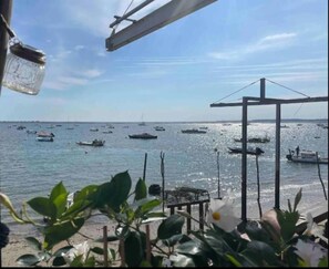 Vista de un puerto deportivo con varias embarcaciones amarradas, cielo despejado y algo de vegetación en primer plano.