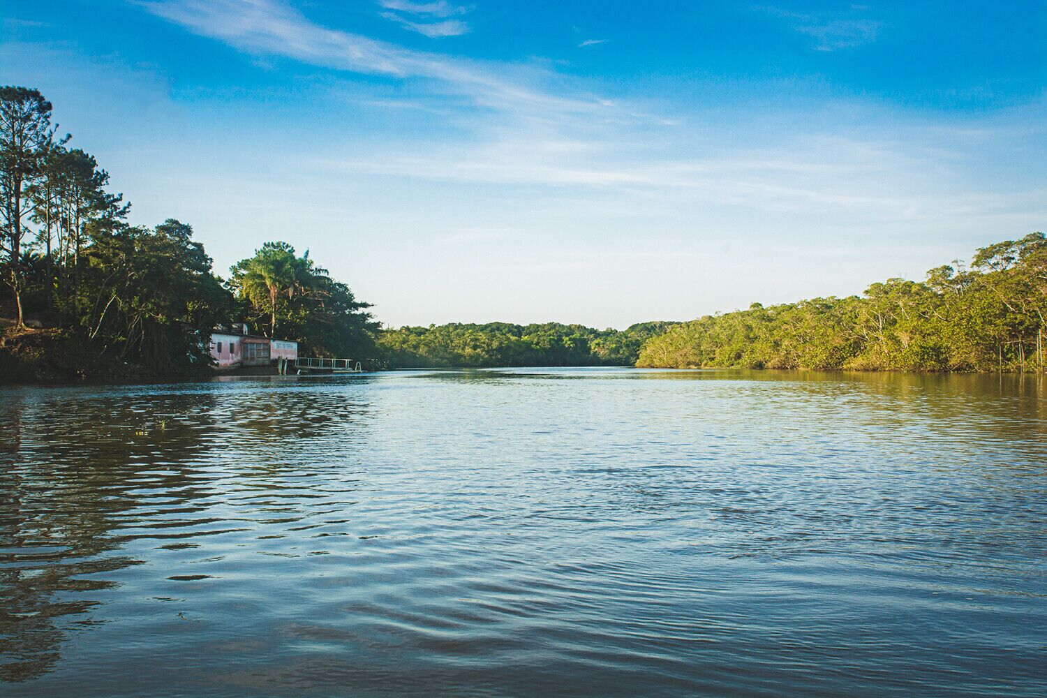 منوع