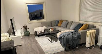 Charming 2-bedroom Apartment in Fjerdingby, Norway