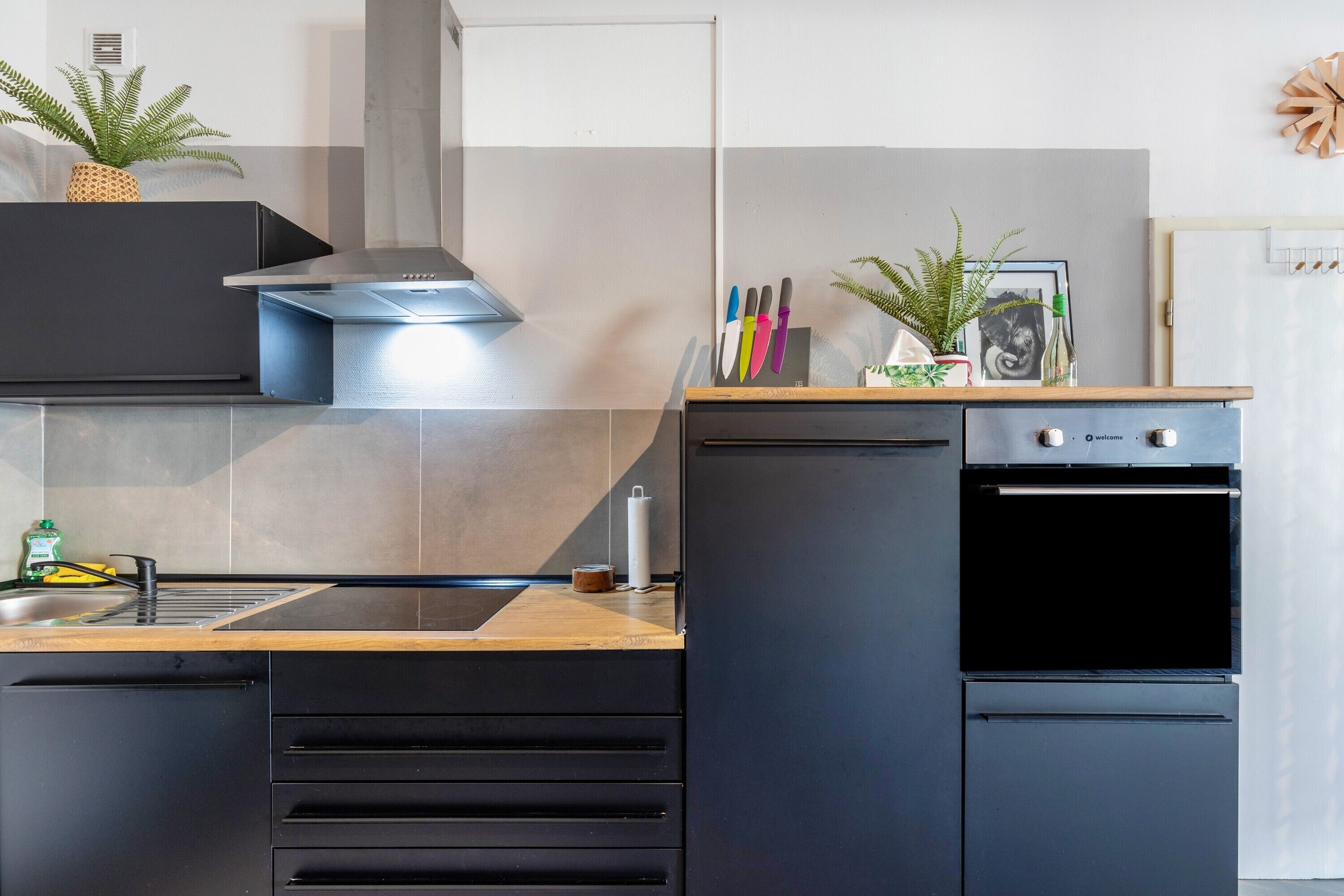 Fridge, oven, stovetop, dishwasher