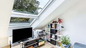 Um quarto com claraboia, televisão, computador, prateleiras com objetos decorativos e uma pequena mesa com uma planta.
