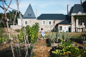 Áreas de la propiedad