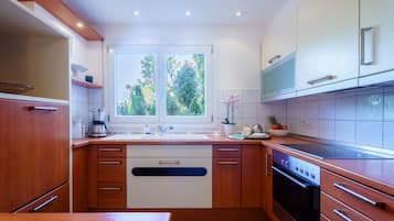 Fridge, oven, stovetop, dishwasher