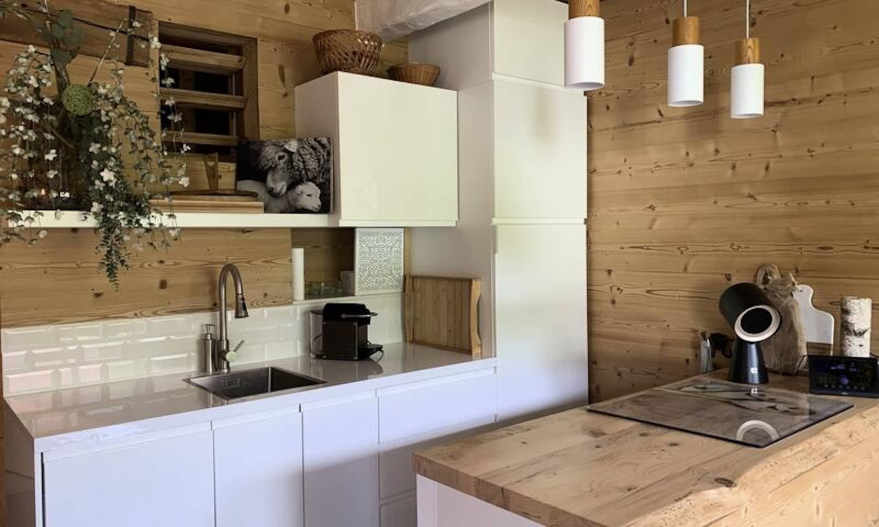 Lò vi sóng, máy rửa bát, dụng cụ nấu nướng/bát dĩa/dao nĩa 