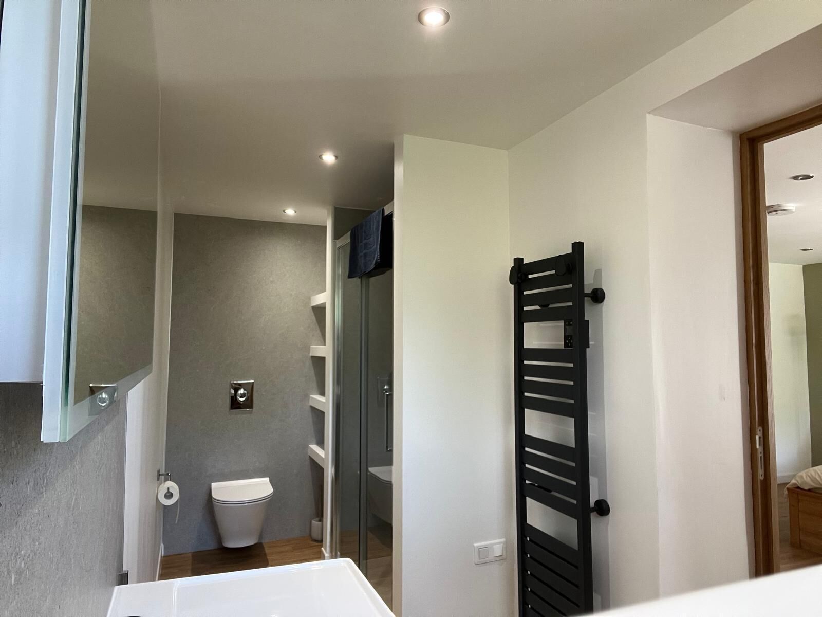 Ein modernes Badezimmer mit Duschkabine aus Glas, einer weißen Toilette und einem schwarzen Handtuchhalter.