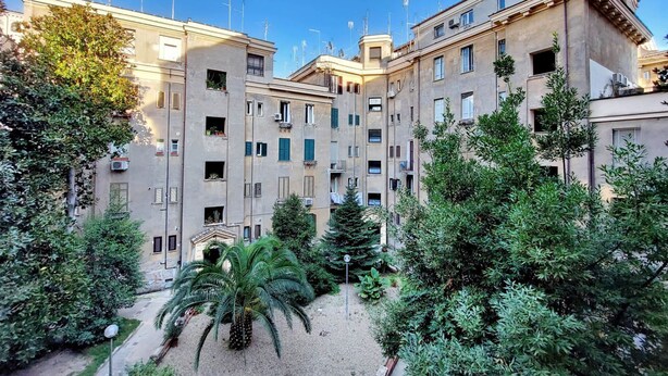 A courtyard with a palm tree and various shrubs, surrounded by multi-story buildings with balconies and air conditioning units. - Lovely Rhome  apartment near Vatican (ROMA)