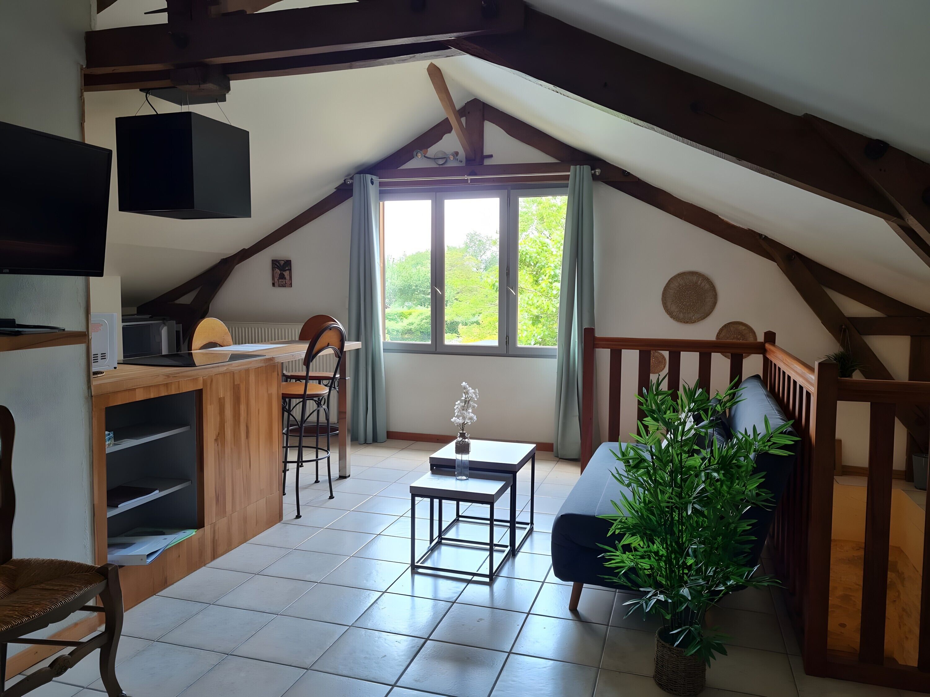 Televisión, reproductor de DVD y tenis de mesa 