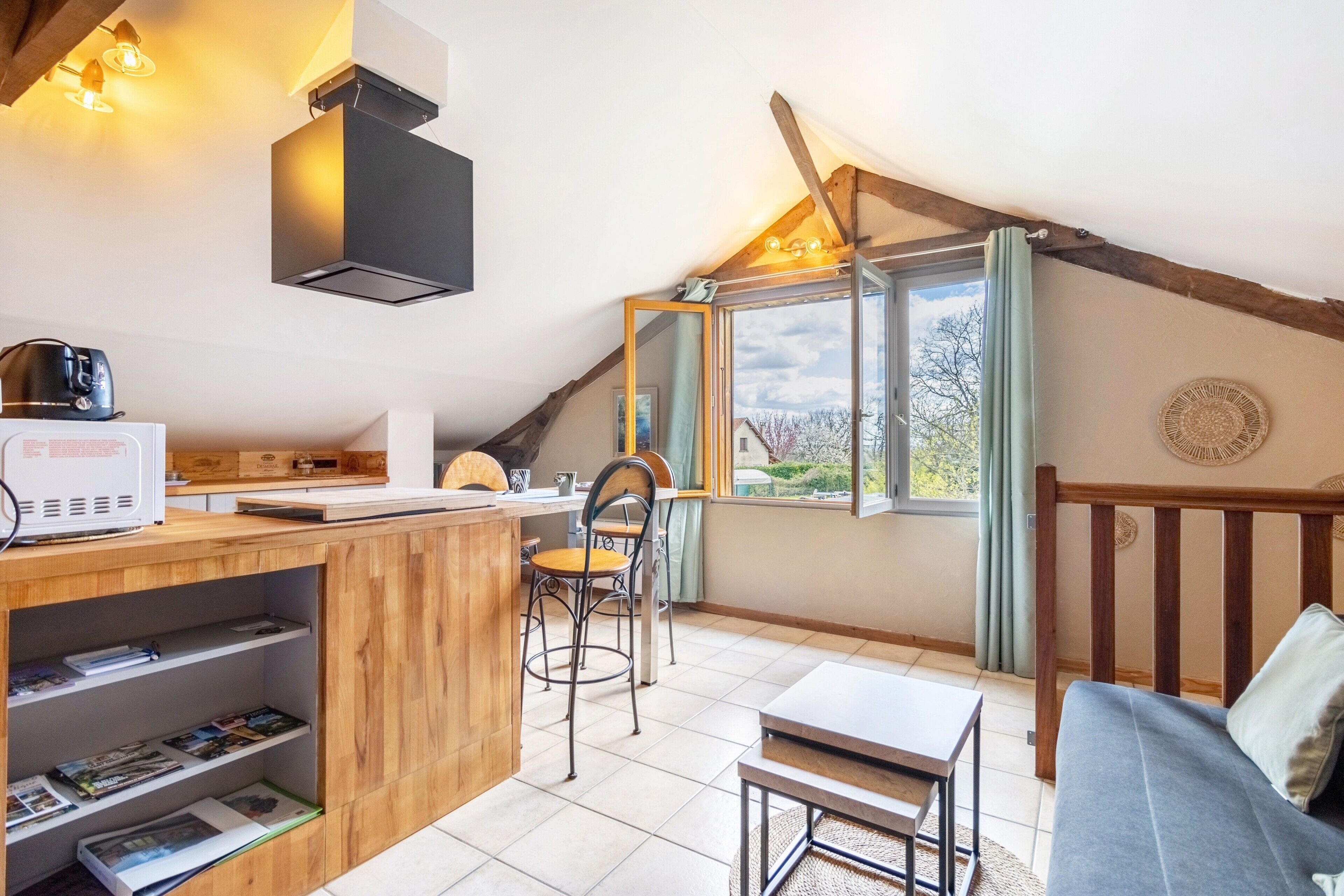 TV, DVD player, ping pong