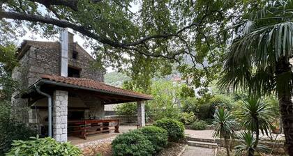 Kuća Zelenog Sna
