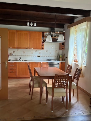 House, Mountain View | Private kitchen - Kuća Zelenog Sna (Tribalj)