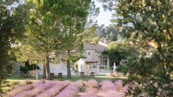 Áreas de la propiedad