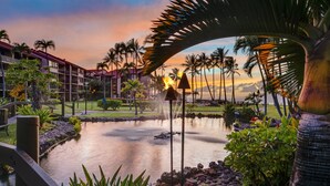 Ein Resort mit Pool, Palmen und Blick auf den Sonnenuntergang.