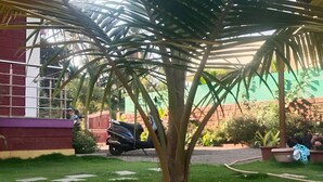 A well-maintained garden with a palm tree, a paved walkway, and a parked scooter. - SeaBreeze Nature Embrace Villa - Alibaug (Nagaon)