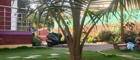Ein gepflegter Garten mit einer Palme, einem gepflasterten Weg und einem abgestellten Roller.