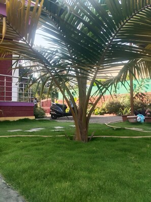 Property grounds - SeaBreeze Nature Embrace Villa - Alibaug (Nagaon)