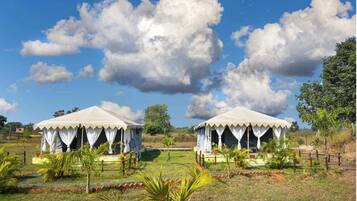 المنطقة المحيطة بالمنشأة