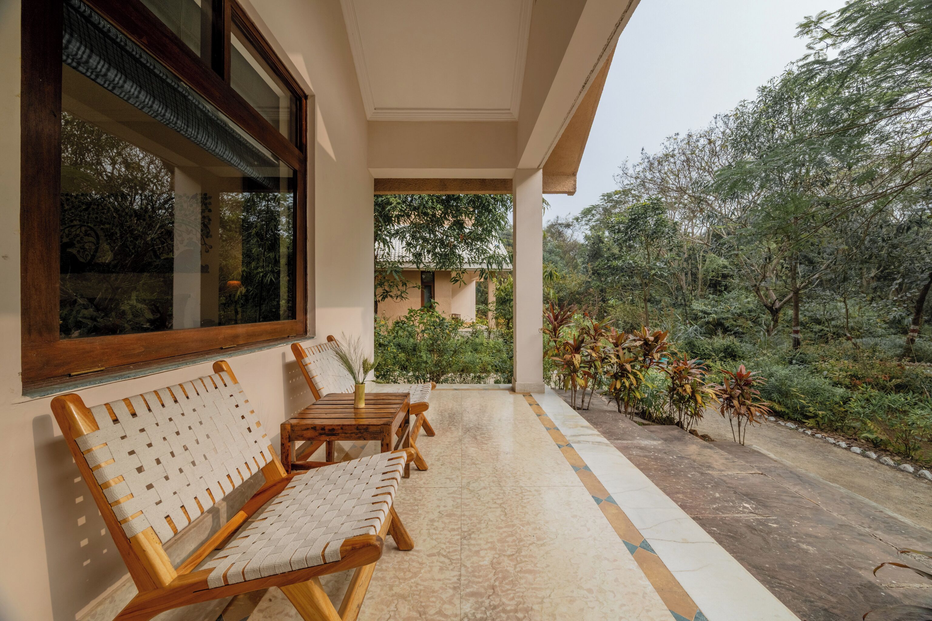 Standard Room, Forest View | View from room