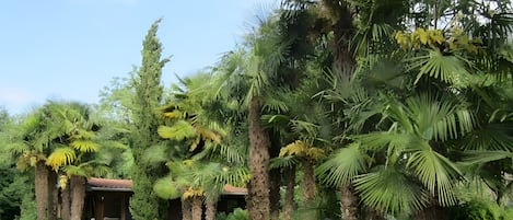 Terrain de lâhĂ©bergement