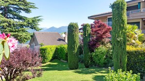 Ein gepflegter Garten mit ordentlich geschnittenen Hecken und verschiedenen Bäumen, darunter eine hohe Nadelbaumart und ein buschiger Strauch mit rosa Blüten.