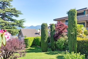 Um jardim bem cuidado, com sebes aparadas e diversas árvores, incluindo um conífero alto e um arbusto com flores cor-de-rosa.