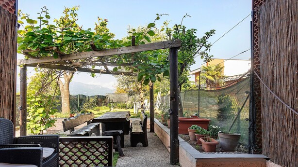 Eine Terrasse mit Korbmöbeln, einer Pergola und Kübelpflanzen.