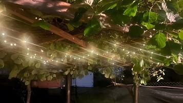 DĂ©tail de lâextĂ©rieur