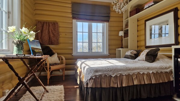 Iron/ironing board, free WiFi