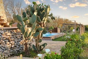 Un jardin agrémenté d’un cactus, d’une piscine et d’une pergola en bois.