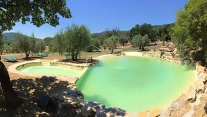 Une piscine naturelle entourée d’arbres et de rochers.