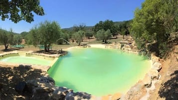 Seasonal outdoor pool, sun loungers
