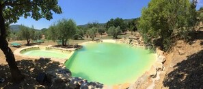Seasonal outdoor pool, sun loungers